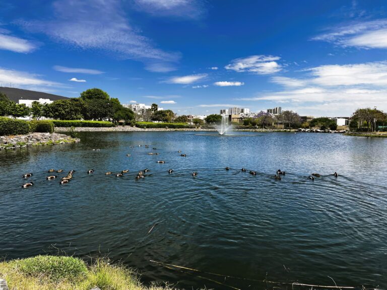 76.1 Lago artificial